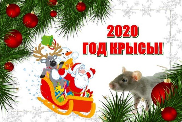 novogodnie otkrytki 2020 god krysy s pozhelaniyami54 Новорічні листівки 2020 рік Щура з побажаннями