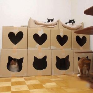 9f4410de99972eddac03ea6bc3f99a90 Будиночок для кішки: як зробити з коробки, що для цього потрібно, схеми та майстер класи