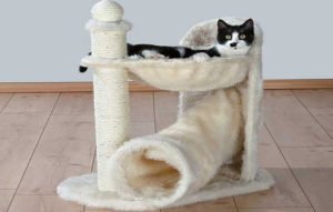 b6b299e02fe7e4695bad1b08e8827df9 Будиночок для кішки з фанери своїми руками: що потрібно, розміри і креслення, фото