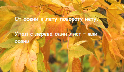 c831a50feb957c5fe0935c89f25d6b99 Цитати про осінь: вислови про осінь, статуси і прислівя