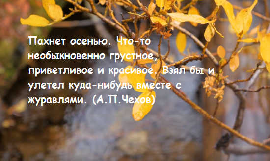 eb5935c26c42bcc3ff67e1fdd4be8143 Цитати про осінь: вислови про осінь, статуси і прислівя