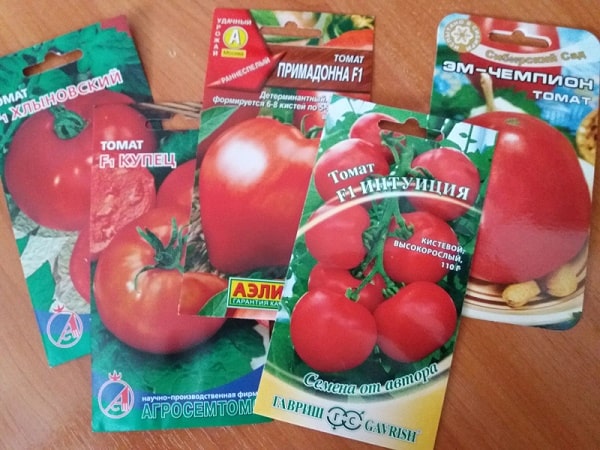 rassada pomidor – vyrashhivanie v domashnikh usloviyakh17 Розсада помідорів – вирощування в домашніх умовах