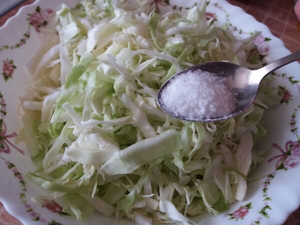 salat iz svezhejj kapusty – 7 ochen vkusnykh i bystrykh receptov42 Салат зі свіжої капусти – 7 дуже смачних і швидких рецептів