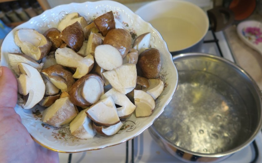 gribnaja podliva iz zamorozhennyh gribov kak prigotovit 9c595c9 Грибна підлива з заморожених грибів: як приготувати?